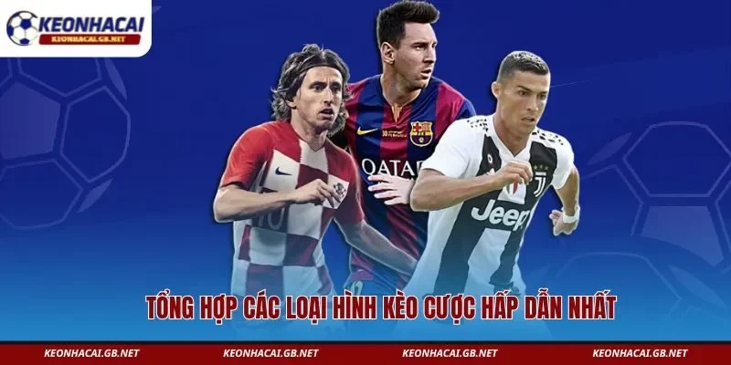 Tổng hợp các loại hình kèo cược hấp dẫn nhất Tổng hợp các loại hình kèo cược hấp dẫn nhất