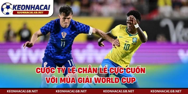 Cược tỷ lệ chẵn lẻ cực cuốn với mùa giải World Cup