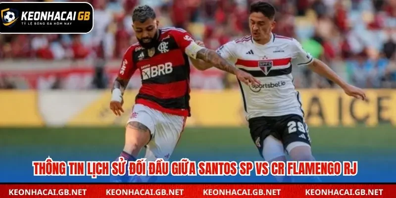 Thống kê các lần gặp gần đây giữa Santos và Flamengo